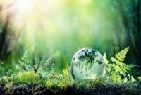 Glass Globe on Forest Floor